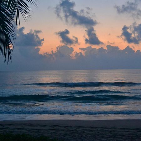 Bed and Breakfast Casa Faro Troncones Esterno foto