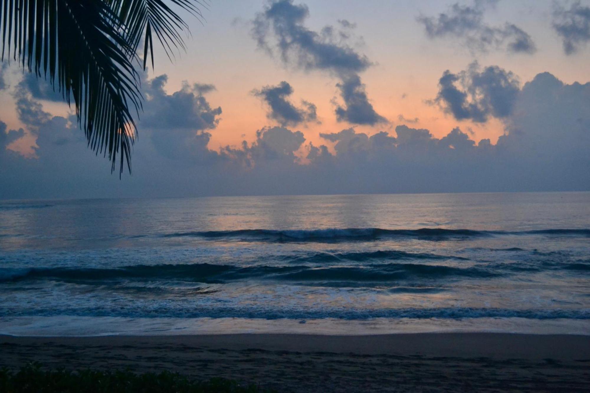 Bed and Breakfast Casa Faro Troncones Esterno foto
